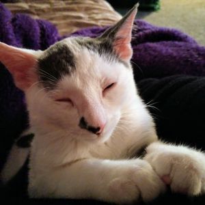 Meet your Posher, Tera